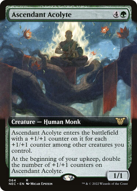 Ascendant Acolyte (Extended Art)